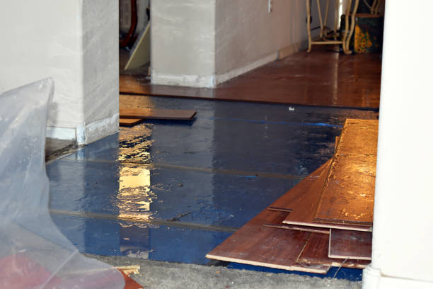 Professional Storm Water Damage Restoration technician working in Scott Air Force Base, IL